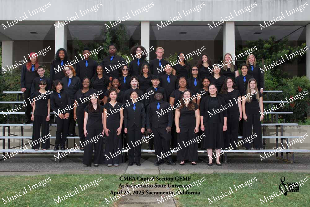 Musical Images